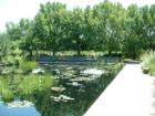 Denver Botanic Gardens