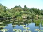 Denver Botanic Gardens