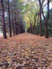Fort Collins - Autumn