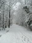 Rivercrest walking path in the snow - Gina Tufano