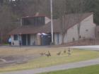 Bathroom, concession stand, and lifeguard station are open during the summer months. (Salmon Creek Park)