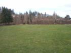 Salmon Creek Park
