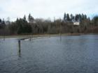 Salmon Creek Park