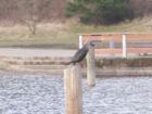 Salmon Creek Park
