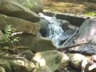 Sugarland Run in the summer. www.ask-gina.com
