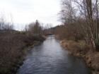 Salmon Creek Park