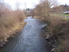 Salmon Creek Park
