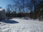 Swisher in Winter