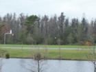 Countrywalk Basket Ball Court surrounded by nature preserve