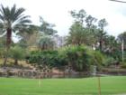 Saddlebrook Golf Community
