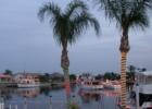 Punta Gorda Isles - The Lighted  Boat Parade.