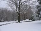 A snowy day in Mount Carmel, Hamden. This is the "college-town" part of Hamden, home to Quinnipiac University. Homes in the area average $250,000-$350,000. There is a variety of shopping along Whitney Avenue and great access to highwayw.