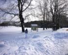 Cross Country Skier at the Grass Rides