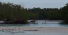 North end of Bonita Beach