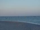 Lowtide on Captiva