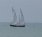 Sailboat