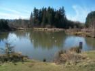 Summer Lake