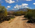 Going home; Marana