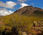 Golden Gate Mountain from Old Tucson Studios