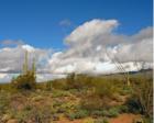 Northerly view of the Tucson Mountains from Gates Pass Rd