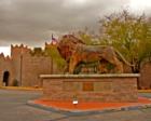 International Wildlife Museum's Lion, Gates Pass Road
