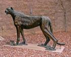 Cheetah sculpture, Tucson's International Wildlife Museum