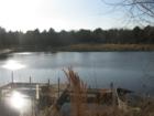 Pond on one of the small local ranches just outside Winchester towards Bastrop County.