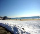 Singing Beach - Late February scene