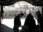 Ronkonkoma LIRR Station