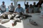 Capt. Tony's Fishin' Express. 
      
