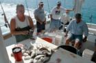 Capt. Tony's Fishin' Express. 
      