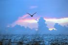 Stormy Bonita sunset...