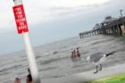 Ft. Myers Pier.