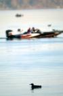 Morning on the water...