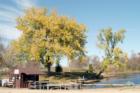Early fall...