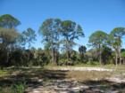 Old Florida acreage in North Fort Myers, Lee County, FL