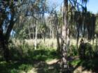 North Fort Myers acreage, Lee County, FL