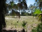 North Fort Myers acreage, Lee County, FL