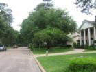 Memoriial Northwest has lots of tree lined streets!!