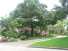 A gorgeous street in Memorial Northwest!!