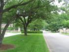 Boulevard coming in to Memorial Northwest!  A wonderful neighborhood located between Spring Cypress and Louetta off of Champion Forest.
