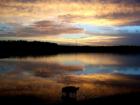 Lake Bedford