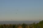 An armada of balloons hover over the Wine Country!