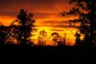 Sunset in Forest Lake Preserve