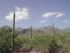 Sabino Canyon
