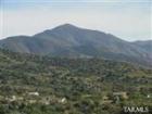 Catalina Mountains - Oro Valley