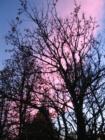  sky colors 