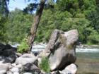 The Hood River at Tucker Park