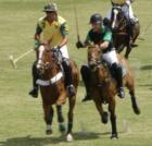 Vero Beach Polo
      Barbara Martino-Sliva
      www.VeroPremierProperties.com