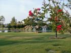 Another great place to join family and friends in Cinco Ranch, Katy TX. Come and see why this is chosen as one of the top places to live in the US.